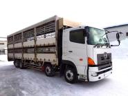 Used truck HINO PROFIA 